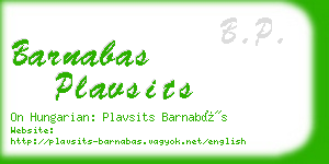 barnabas plavsits business card